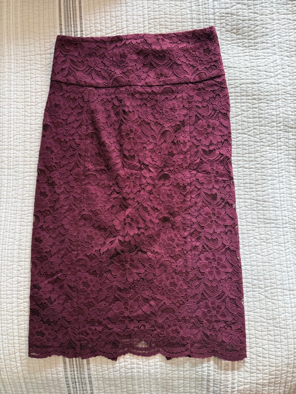Express Women's Lace Pencil Skirt in Burgundy 0